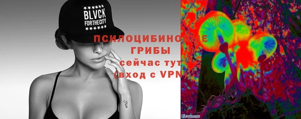 гашик Кинешма