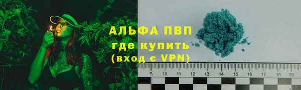 гашик Кинешма