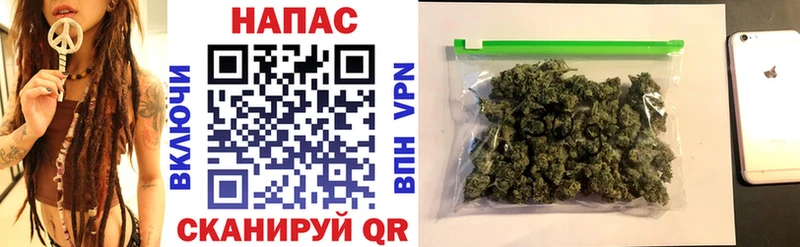 Каннабис ГИДРОПОН  Артём 